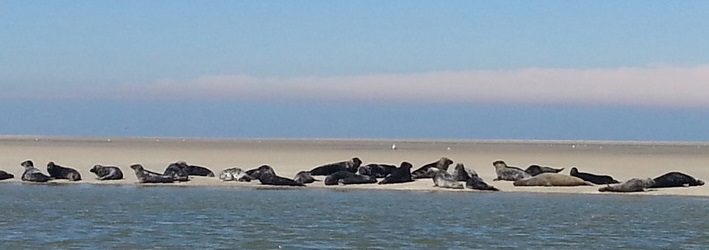 Baie de Somme